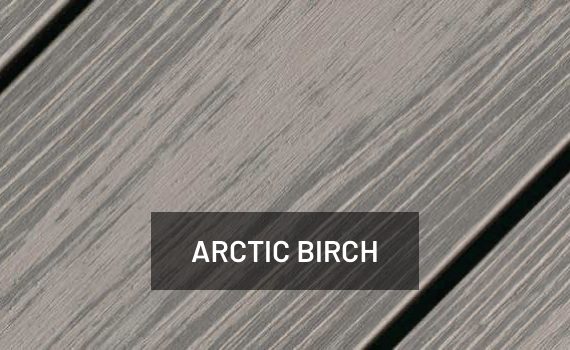 Arctic Birch