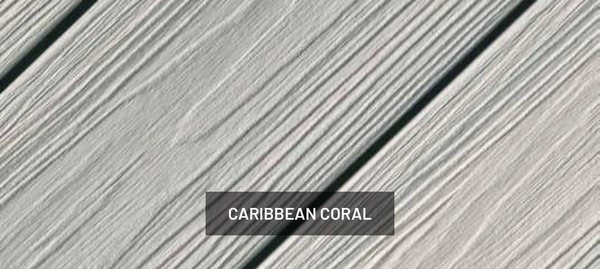 Caribbean Coral