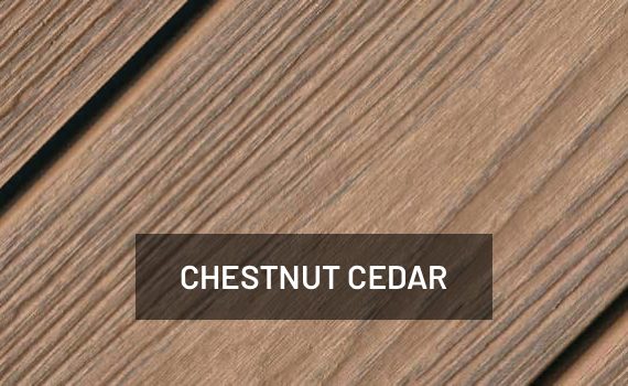 Chestnut Cedar